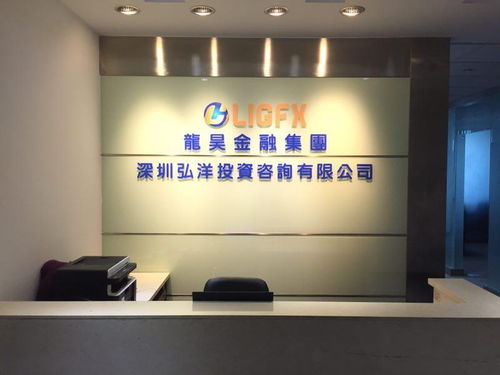 深圳弘洋投資咨詢 專業(yè)投資管理服務(wù)助力企業(yè)發(fā)展