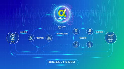能源運(yùn)營(yíng)賦能，讓千行百業(yè)降費(fèi)節(jié)碳——胡江論公共資源交易技術(shù)服務(wù)的綠色變革